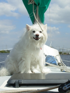 The Captain of the boat